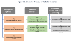 This image shows the original presentation of the policy scenarios. On the left, we see a grey rectangle titled “basic policy options”, underneath are three more orange rectangles below one another with the title of the three basic policy options. To the right, we find a similar structure for the combined policies (one grey rectangle above two green ones containing the title of those policy combinaison) and another one for the combined policies with research and development.