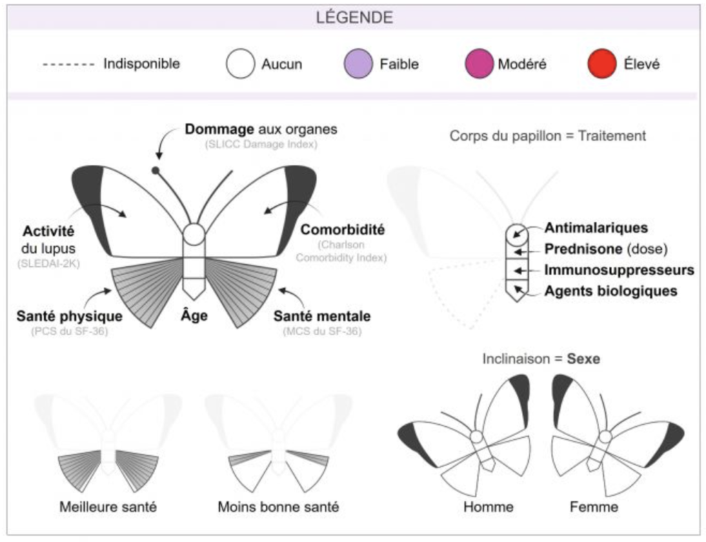 Image of the legend. Top left wing: level of lupus activity. Top right wing: Comorbidity. Bottom left wing: physical health (more lines = better). Bottom right wing: mental health. Body shows 4 treatments. Under body, a number represents patient's age. Colours as gradient legend. White; None. Lilac: Weak. Pink: Moderate. Red: High. Inclination: gender