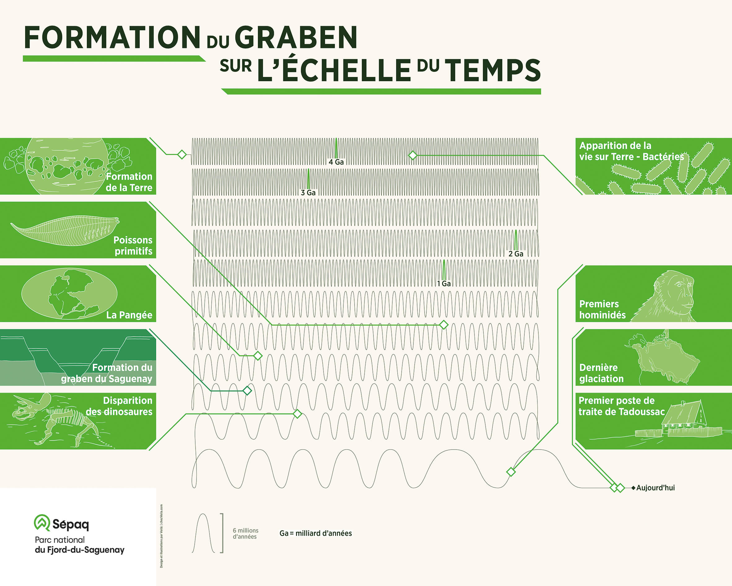 Introductory panel presenting the formation of the Saguenay graben on the time scale. The timeline is a long line condensed in the form of many oscillations. These are linked together in a total of 11 rows in the middle of the panel. Very tight on the first rows, the oscillations are more and more dilated as time passes. The last row of the timeline is therefore the most airy. Each billion years is marked by a small label on its oscillation highlighted in green. The timeline is also punctuated by major historical milestones, located by pointers. In chronological order, it begins with the formation of the Earth, 4.5 billion years ago. Then, life appeared with the first bacteria, then primitive fish. Geologically, Pangea was formed several million years later, followed by the formation of the Saguenay graben. The last four dates are the disappearance of the dinosaurs, the appearance of the first hominids, the period of the last ice age and, the most recent, the construction of the first trading post in Tadoussac. Each of these dates is illustrated by a white drawing on a green rectangle. These illustrations are divided into two columns on either side of the timeline.