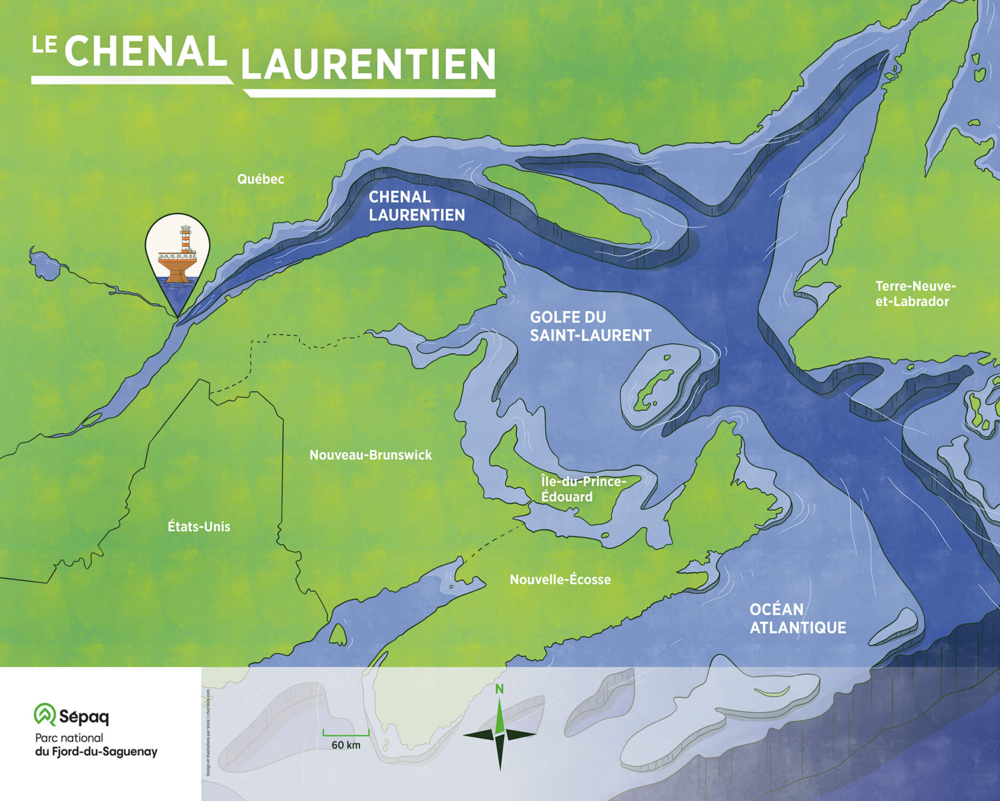 Le titre de l’image est “Le Chenal Laurentien”. Ce panneau présente une vue aérienne illustrée du chenal. Sur le continent, coloré en vert, les provinces du Canada autour du Chenal ainsi que la frontière avec les États-Unis servent de repères géographiques. Dans l’eau, colorée en bleu, le Chenal Laurentien, le Golfe du Saint-Laurent et l’océan Atlantique délimitent les régions marines. Cette image présente la profondeur de l’estuaire maritime. Les fonds marins y sont illustrés en transparence sous la surface de l’eau et les étages de profondeur sont exagérés. On voit ainsi que l’océan Atlantique est la partie la plus profonde, mais aussi que tout le chenal Laurentien est très creux et ce, jusqu’à sa pointe à Tadoussac. Tadoussac est pointé par une petite pastille qui contient une illustration du phare de Tadoussac, permettant au public de repérer où ils se trouvent. Au bas du panneau, une rose des vents précise que le Nord se trouve en direction du haut du panneau.