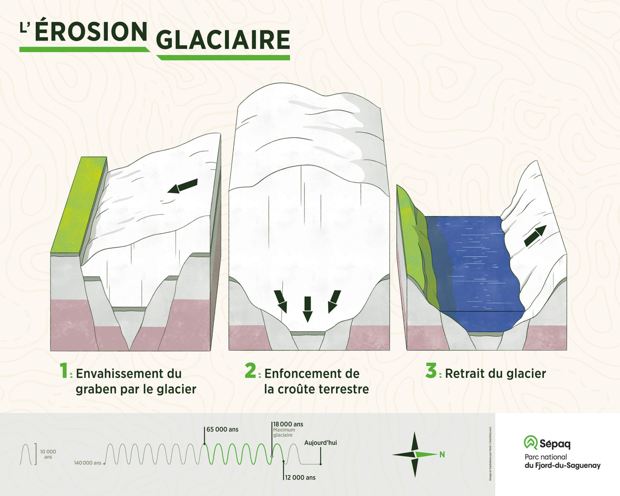 The title of the image is: "Glacial erosion". This panel illustrates this phenomenon in three chronological stages and it uses the same graphic elements as the previous panel. The image represents 3 blocks side by side in aerial view from the front. Each of the blocks is colored as follows: the surface, the outer layer, is green. Underneath, the thick layer of rocks is shown in grey. Finally, the last layer, the deepest, is in purple to remind the magma. The first block on the left illustrates the invasion of the graben by the glacier at the beginning of the Ice Age. We see the graben, cut in a V shape in the previous panel, gradually covered by a thick white glacier. The second block, in the center, shows the sinking of the earth's crust due to the weight of the huge glacier that has now covered its entire surface. The third and last block, on the right of the panel, shows the retreat of the glacier at the end of the ice age. The crust that had sunk under its weight has not yet risen and is now below sea level. The water, colored in blue, has invaded the valley where the glacier is no longer. We can also see in this third stage that the glacier has caused the erosion of the sides of the valley. The panel also contains a strip of technical information, located at the bottom of the illustration. We can read that the ice age started 65,000 years ago, reached its maximum 18,000 years ago and ended about 12,000 years ago. In the center of the technical panel, a compass rose indicates that the North is located to the right of the panel.