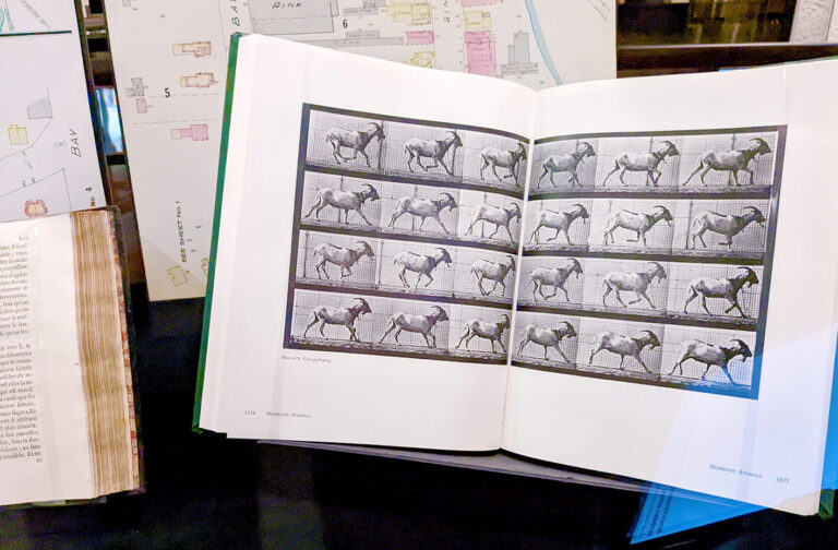 An open book featuring a set of 24 goat photographs in black and white arranged in a grid on the double-page spread. The goat is in a slightly different state in each photograph as it moves.