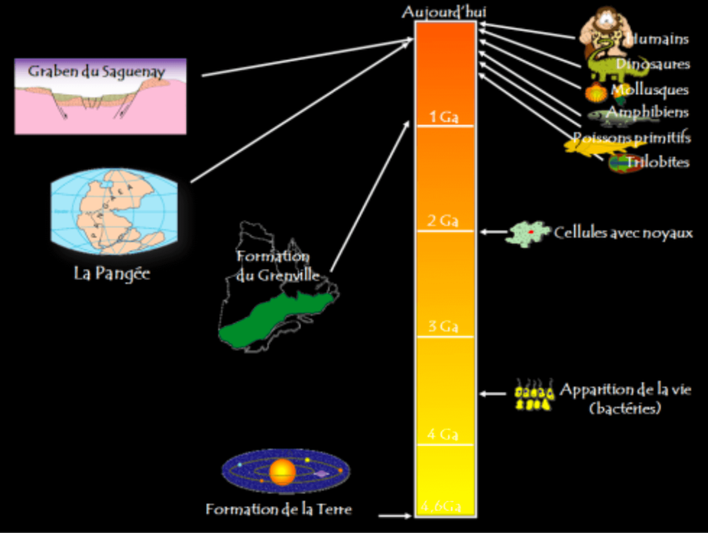 Representation of the timeline from the formation of the Earth to the present day in a vertical bar. Different events are placed without necessarily respecting the scale. In this way, we can distinguish events close at the geological scale, such as the formation of the Saguenay Graben, the disappearance of the dinosaurs or the appearance of the first hominids, which on the scale should be a single point.