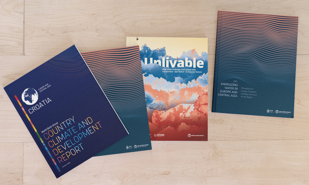 Series of reports published for the World Bank.